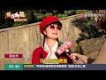 春節走春賞 櫻 姿！天元宮夜櫻 民眾直呼好浪漫｜ 寰宇新聞 @globalnewstw ​