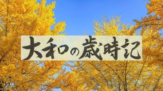 【大和の歳時記】第20回は「小雪」〜「二十四節気」を中心に日本の伝統や文化についてお伝えします〜