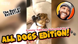Best of RxCKSTxR Funny Talking Animal Voiceovers Compilation Ep 7