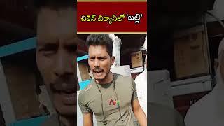 సగం తిన్న తర్వాత.. చికెన్ బిర్యానీలో 'బల్లి' | Ntv