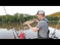 7 Best Affordable Catfishing Rods - Cheap Catfish rod review -  Best Rod setup