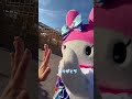 【usj】今年も会えちゃう！ハロウィンなマイメロちゃんが可愛すぎる🐰💗 shorts