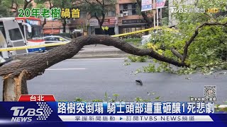 路樹突倒塌 騎士頭部遭重砸釀1死悲劇｜TVBS新聞 @TVBSNEWS01