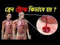 ব্রেন স্ট্রোক কিভাবে হয় || What Happens in Brain Hemorrhage? || Mayajaal || সুপ্ত জ্ঞান