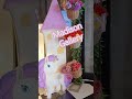 Entrance setup of Princess theme at Madison Gallery Events Place