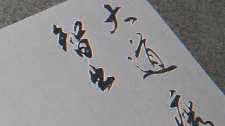 行書節錄《道德經》之：大道廢，有仁義；智慧出，有大偽；#書法 #書法作品欣賞  #毛筆字