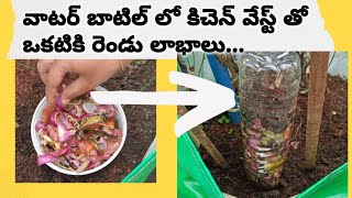 కిచెన్ వేస్ట్ తో ఇలా చేస్తే రెండు లాభాలు | Kitchen waste compost in bottle