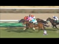 ゴール直後落馬！フラワーカップ2013回顧とフラワーカップ2014の穴馬