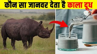 कौन सा जानवर देता है काला दूध? Which animal gives Black milk? Most Amazing Facts| Hindi Facts