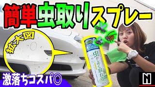 【虫取り】コスパ最強！？簡単で安価な虫取りスプレー試してみた！