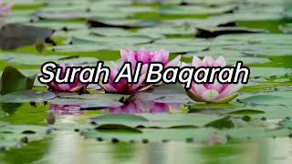 SURAH AL BAQARAH | Quran recitation in very Beautiful voice in Arabic language | #viral #allahﷻ #dua