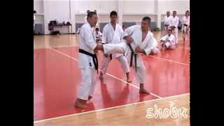 Shirai Sensei Seminar - Beograd 2012