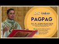 PAGPAG | Homily for 15th Sunday Ordinary Time ( Year B )