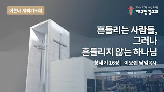 [LIVE] 대구평강교회 이른비새벽기도회 250219 (창세기 16장)