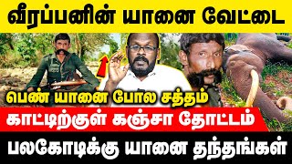 கோடிகளை கொட்டிய வீரப்பனின் வேட்டை தந்திரங்கள் Part-1 | Mugil | Voice of Law #veerappan #elephanthunt