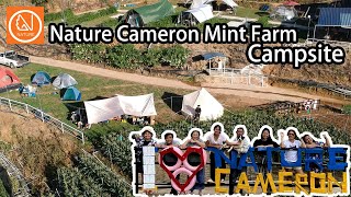 Nature Cameron Mint Farm Campsite 金马伦 | 木鱉果 | Gac Fruit | 无花果 | Fig