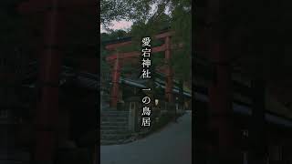 朱色の鳥居と茅葺き屋根でいにしえの京都を想う｜京都・嵐山・あだし野念仏寺・愛宕神社 一の鳥居・鮎茶屋平野屋【VLOG Vol.77】の切抜きVol.3 #紅葉 #嵐山 #京都