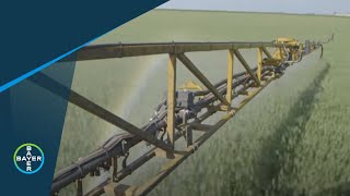 Fungicides: Minimizing Resistance in Western Canada