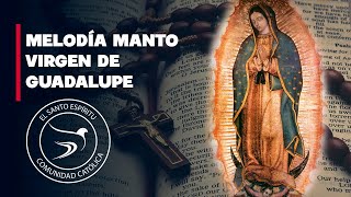 🎵 Melodía Manto Virgen de Guadalupe 🙏