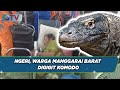 Evakuasi Dramatis! Pria Digigit Komodo di Manggarai Barat, NTT - BIS 02/11