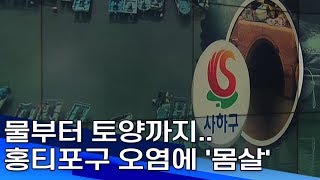 물부터 토양까지   홍티포구 오염에 '몸살' 부산MBC20190611