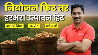 हरभरा लागवड । अन्नद्रव्य 🌱 मर रोग 🦠 घाटे अळीचे व्यवस्थापन 🐛। Chana Crop। AgroStar #FarmingTips