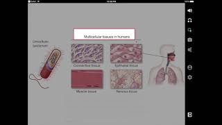 SNAP AND READ FOR IPAD TUTORIAL
