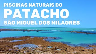 Piscinas Naturais do Patacho, São Miguel dos Milagres-Alagoas