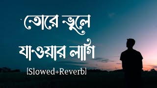 Tore Vule Jawar Lagi - [Slowed + Reverb] | Samz Vai || Lofi sad song