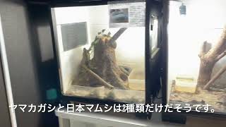 航平さんの隠れスポット紹介　水環境館