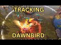 Dawn Bird | Tracking | Albion Online