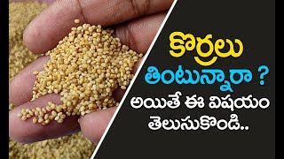 కొర్రలు తింటున్నారా ? అయితే ఒక్క నిమిషం ఆగండి | Korralu recipes in telugu | Andu korralu in telugu