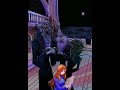 Shallan and Cryptics Animation