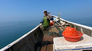 阿雄出海抓虾大丰收，不光大虾多水鼓鱼也抓得多，有吃有卖有钱赚