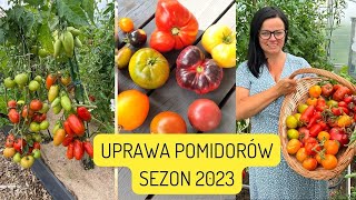 Otwieram sezon pomidorowy 2023. Jak siać pomidory. Uprawa pomidorów z nasion. Kasia in pomidory