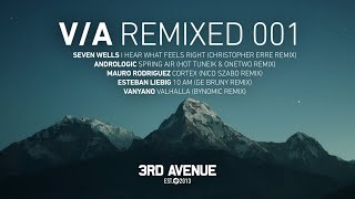 Andrologic - Spring Air (Hot Tuneik \u0026 OneTwo Remix) [3rd Avenue]