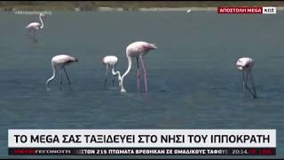 www.nisoskos.gr : Αφιέρωμα στην Κω, το νησί του Ιπποκράτη από το Mega 21-06-2020