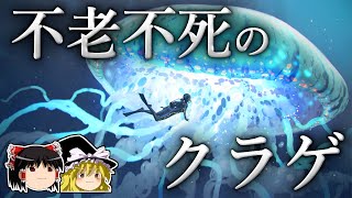 「死を克服した唯一の動物」として科学者に認められたクラゲ ～ベニクラゲ～【ゆっくり科学】