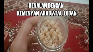 Kenalan Yuk dengan Kemenyan Arab atau Luban