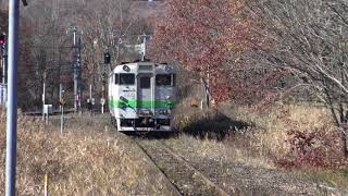 秋の紅葉に包まれた秘境駅の赤井川駅を出発する函館本線下りキハ40系