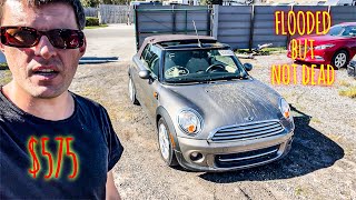 Hurricane Ian Fresh Flood Cars | 2 Mini Coopers | Copart Salvage Auction | Rebuilds