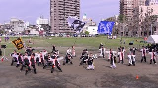 「 更紗 」どまつり夜桜in岡崎2017【多目的広場】