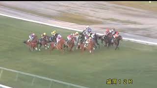 【盛岡競馬】岩手県知事杯ＯＲＯカップ2018　レース速報