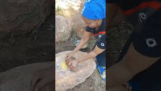 Corn grinding, the traditional way. #homesteading #gardening #holisticfarming #corn #corngrinding