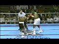 WOW!! WHAT A KNOCKOUT | Riddick Bowe vs Lionel Butler, Full HD Highlights