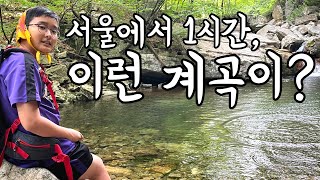 기온이 33도까지 올라갔는데도 덥지 않았던 등산 | 유명산 | 계곡 | 자연휴양림