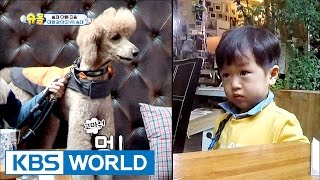 Seung-jae's reaction to meeting a giant puppy! [The Return of Superman / 2017.03.12]