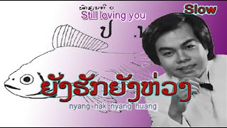 LAO  |  ຍັງຮັກຍັງຫ່ວງ  | Still loving you - ບຸນທ່ຽງ ມະນີວົງສ໌  -  Bounthieng MANIVONG (VO)