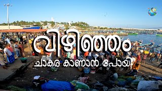 വിഴിഞ്ഞം _ ചാകര കാണാൻ പോയി | Vizhinjam | Trivandrum | Fish Chaakara #vizhinjam #chaakara #Trivandrum