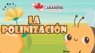 La Polinización - 4° Primaria